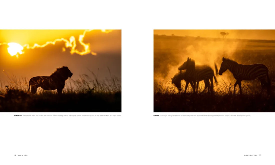 Wild Eye US - Hardback