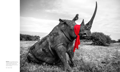 Wild Eye US - Hardback