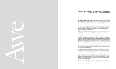 Wild Eye US - Hardback