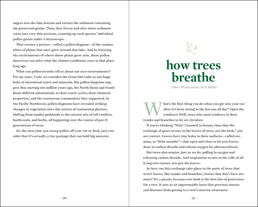 TreeNotes US - Hardback