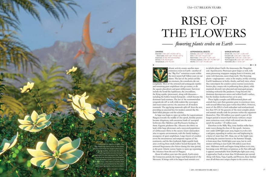 The Grand Cosmic Story US - Hardback