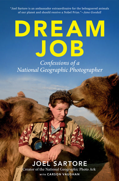 Dream Job cover (ISBN 9781426224461)