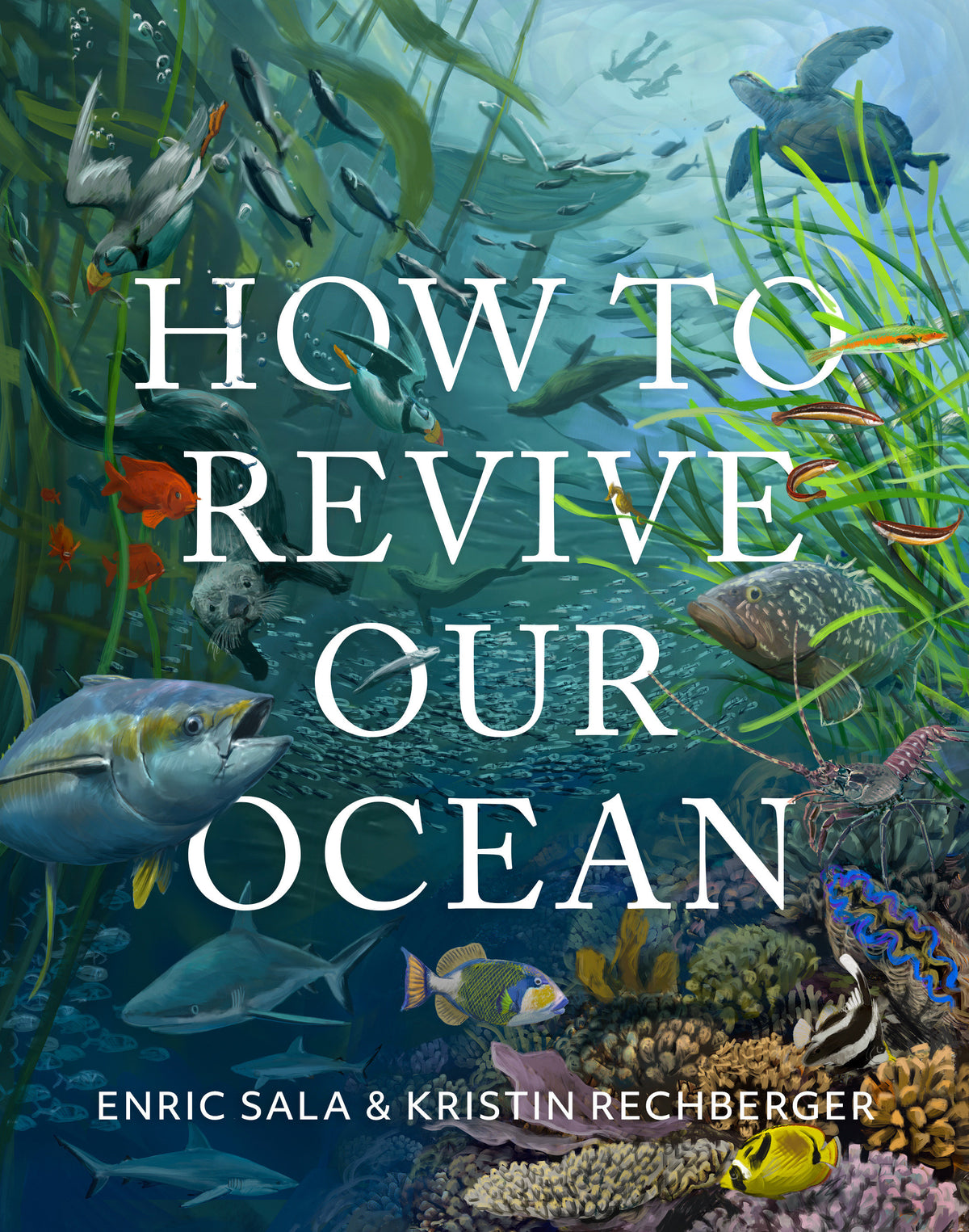 How to Revive Our Ocean cover (ISBN 9781426224478)