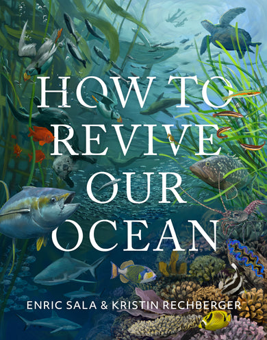 How to Revive Our Ocean cover (ISBN 9781426224478)