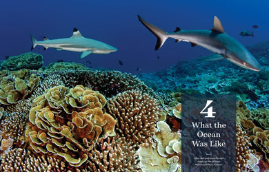 How to Revive Our Ocean interior 2 (ISBN 9781426224478)