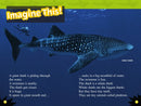 Sharks (National Geographic Kids Readers, Level 2) US - Paperback / softback
