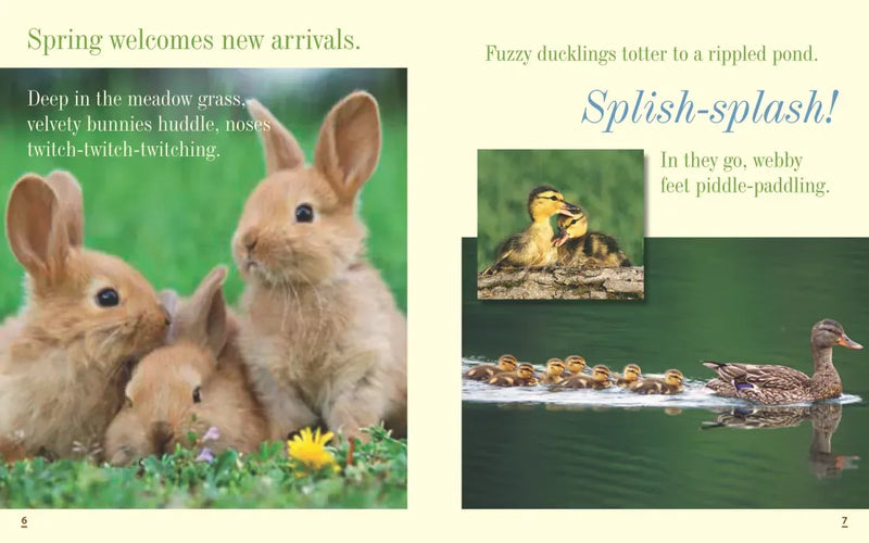 Everything Spring US - Paperback / softback