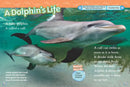Dolphins (National Geographic Kids Readers, Level 2) US - Paperback / softback