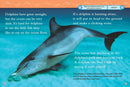 Dolphins (National Geographic Kids Readers, Level 2) US - Paperback / softback