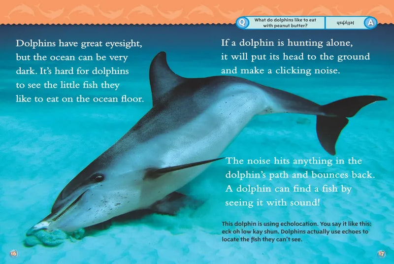 Dolphins (National Geographic Kids Readers, Level 2) US - Paperback / softback