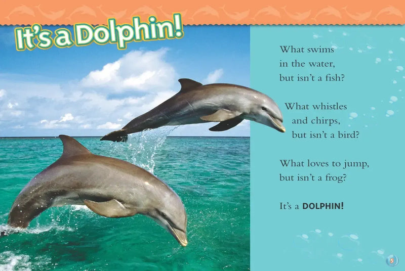 Dolphins (National Geographic Kids Readers, Level 2) US - Paperback / softback