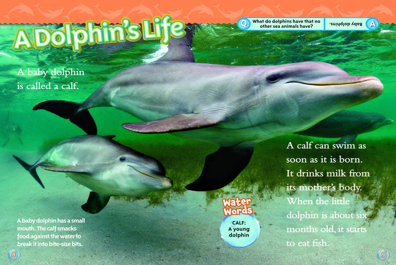 Dolphins (National Geographic Kids Readers, Level 2) US - Paperback / softback