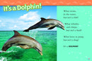 Dolphins (National Geographic Kids Readers, Level 2) US - Paperback / softback