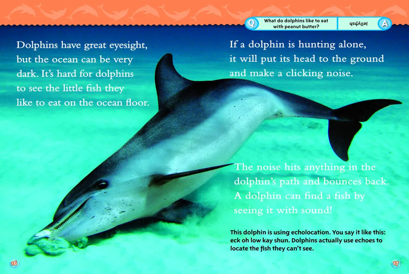 Dolphins (National Geographic Kids Readers, Level 2) US - Paperback / softback