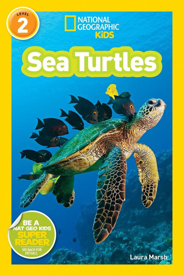 Sea Turtles (National Geographic Kids Readers, Level 2)-Children’s Educational: Language/ literature/ literacy-買書書 BuyBookBook