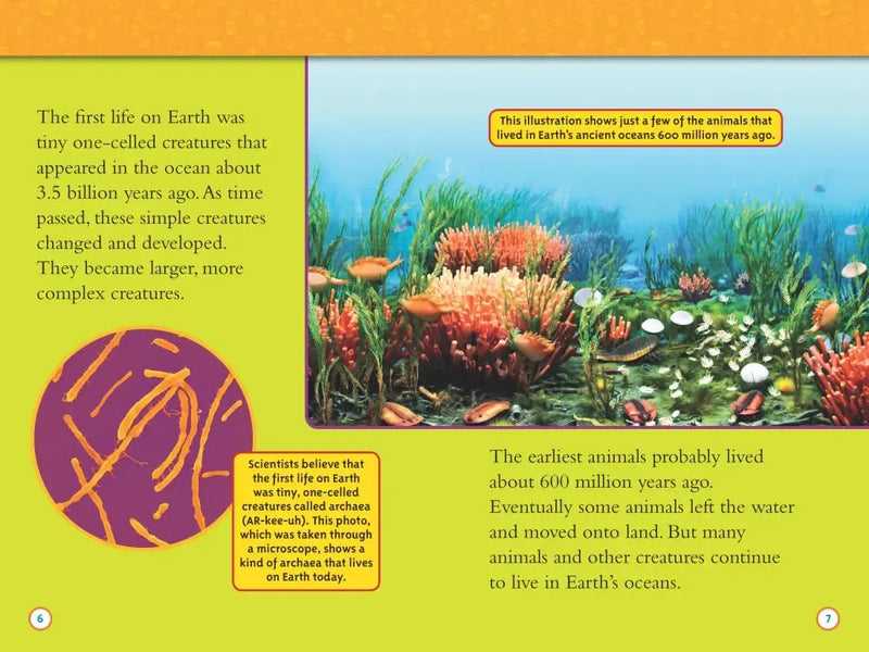 Water (National Geographic Kids Readers, Level 3) US - Paperback / softback