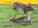 Hop, Bunny! (National Geographic Kids Readers, Pre-Reader) US - Paperback / softback