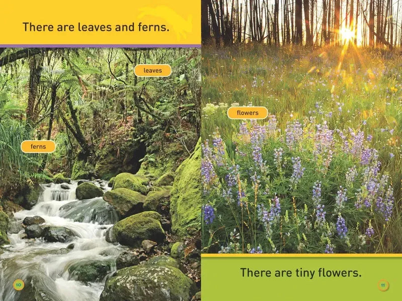 Hop, Bunny! (National Geographic Kids Readers, Pre-Reader) US - Paperback / softback