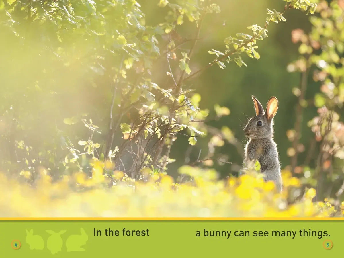 Hop, Bunny! (National Geographic Kids Readers, Pre-Reader) US - Paperback / softback