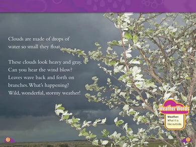 Planet Earth Collection (National Geographic Kids Readers, Levels 1 & 2) US - Paperback / softback