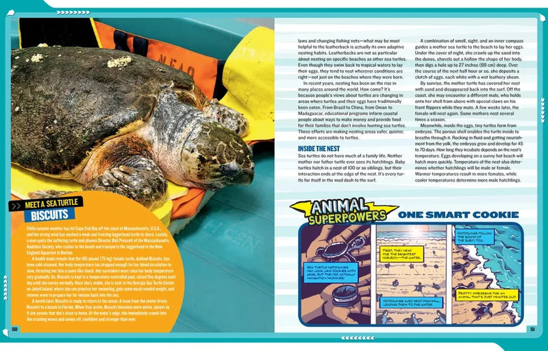 National Geographic Kids Mission: Sea Turtle Rescue US - Paperback / softback