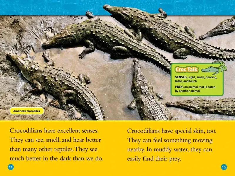 Alligators and Crocodiles (National Geographic Kids Readers, Level 2) US - Paperback / softback