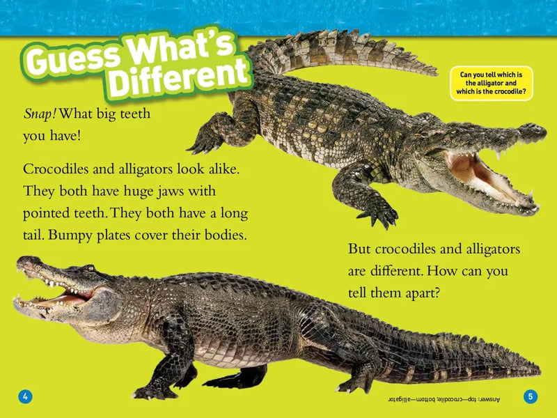 Alligators and Crocodiles (National Geographic Kids Readers, Level 2) US - Paperback / softback