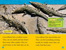 Alligators and Crocodiles (National Geographic Kids Readers, Level 2) US - Paperback / softback
