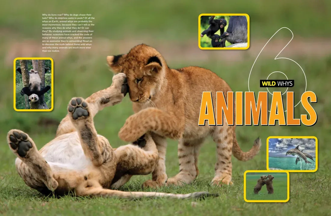 National Geographic Kids Why? US - Hardback (9781426320965)