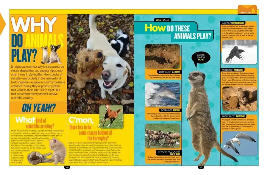 National Geographic Kids Why? US - Hardback (9781426320965)
