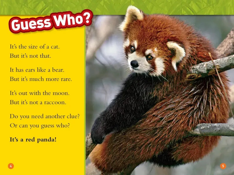 Red Pandas (National Geographic Kids Readers, Level 1) US - Paperback / softback