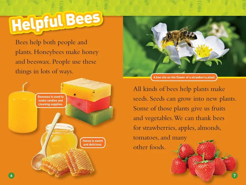 Bees (National Geographic Kids Readers, Level 2) US - Paperback / softback