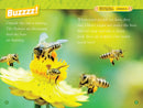 Bees (National Geographic Kids Readers, Level 2) US - Paperback / softback