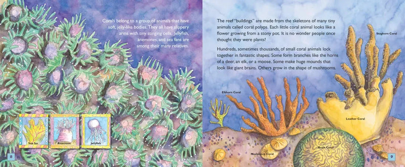 Jump Into Science: Coral Reefs US - Paperback / softback