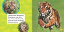 Explore My World: Tigers US - Paperback / softback