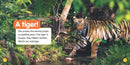 Explore My World: Tigers US - Paperback / softback