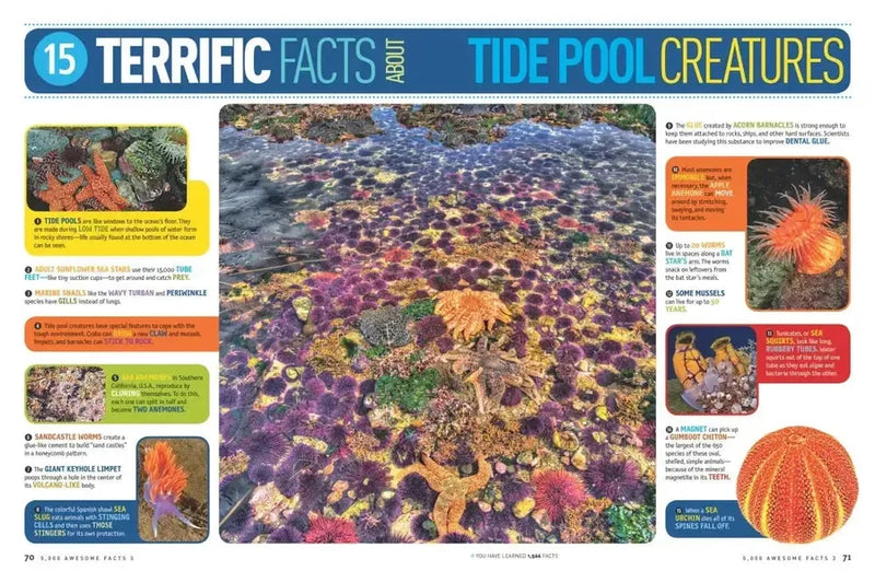 5,000 Awesome Facts (About Everything!) 3 US - Hardback