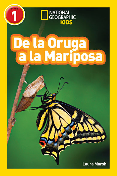 National Geographic Readers: De la Oruga a la Mariposa (Caterpillar to Butterfly) cover (ISBN 9781426324840)