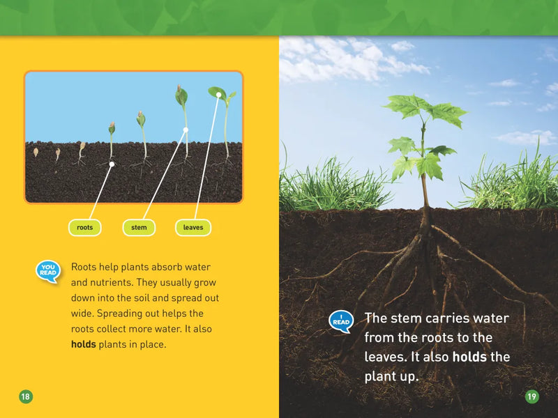 Plants (National Geographic Kids Readers, Level 1/Co-Reader) US - Paperback / softback