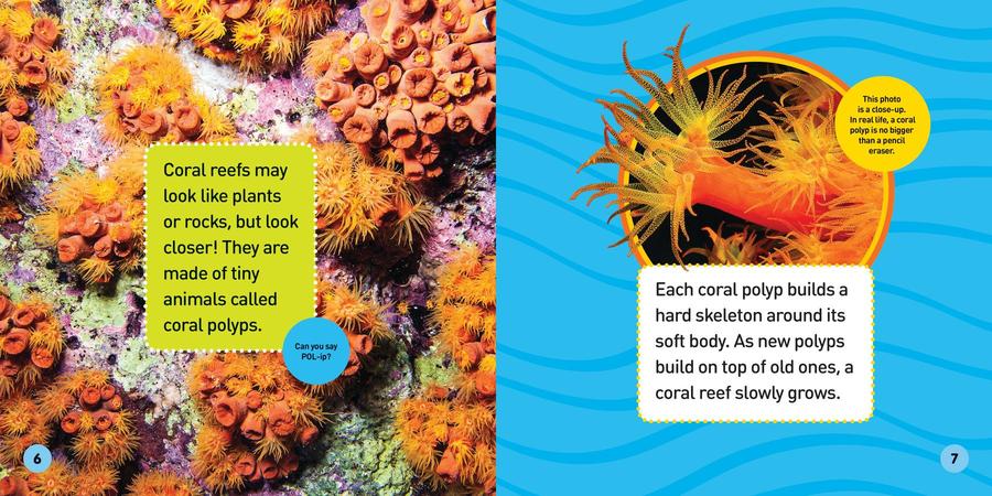 Explore My World: Coral Reefs US - Paperback / softback