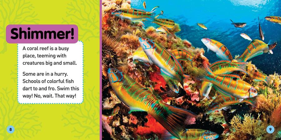 Explore My World: Coral Reefs US - Paperback / softback