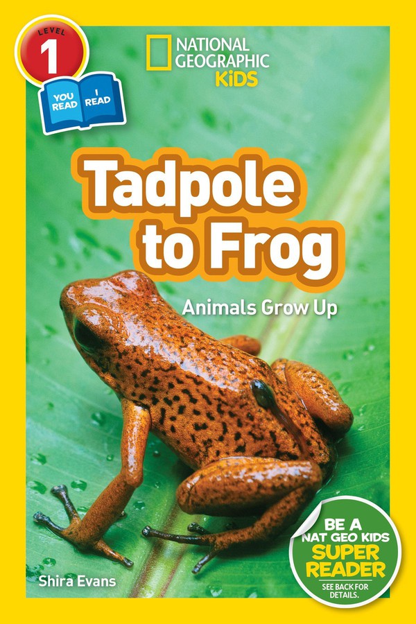 Tadpole to Frog (National Geographic Kids Readers, Level 1/Co-Reader)-Educational: First / native language: Readers and reading schemes-買書書 BuyBookBook