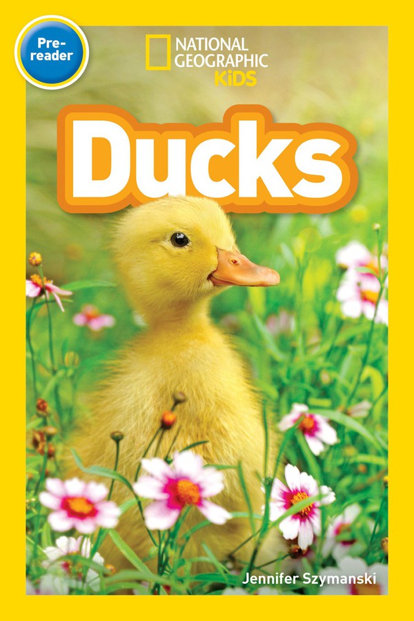 Ducks (National Geographic Kids Readers, Pre-Reader)-Educational: First / native language: Readers and reading schemes-買書書 BuyBookBook