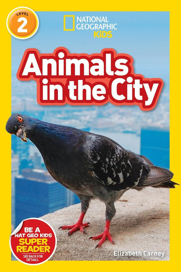 Animals in the City (National Geographic Kids Readers, Level 2)-Educational: First / native language: Readers and reading schemes-買書書 BuyBookBook