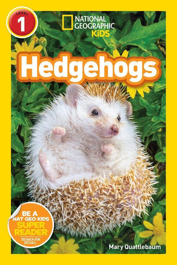 Hedgehogs (National Geographic Kids Readers, Level 1)-Children’s / Teenage general interest: Rodents and rabbits-買書書 BuyBookBook