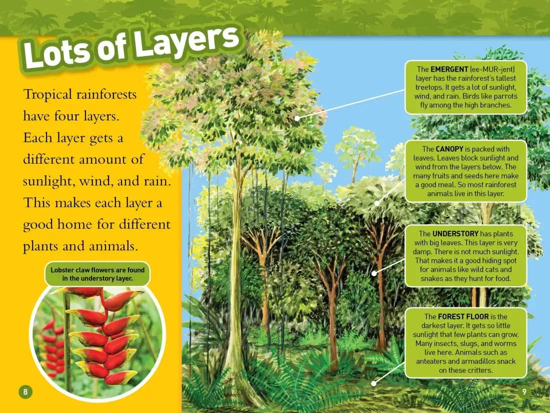 Rainforests (National Geographic Kids Readers, Level 2) US - Hardback