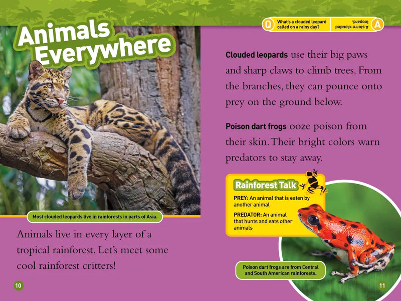 Rainforests (National Geographic Kids Readers, Level 2) US - Hardback