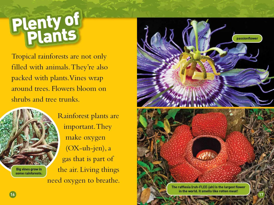 Rainforests (National Geographic Kids Readers, Level 2) US - Hardback