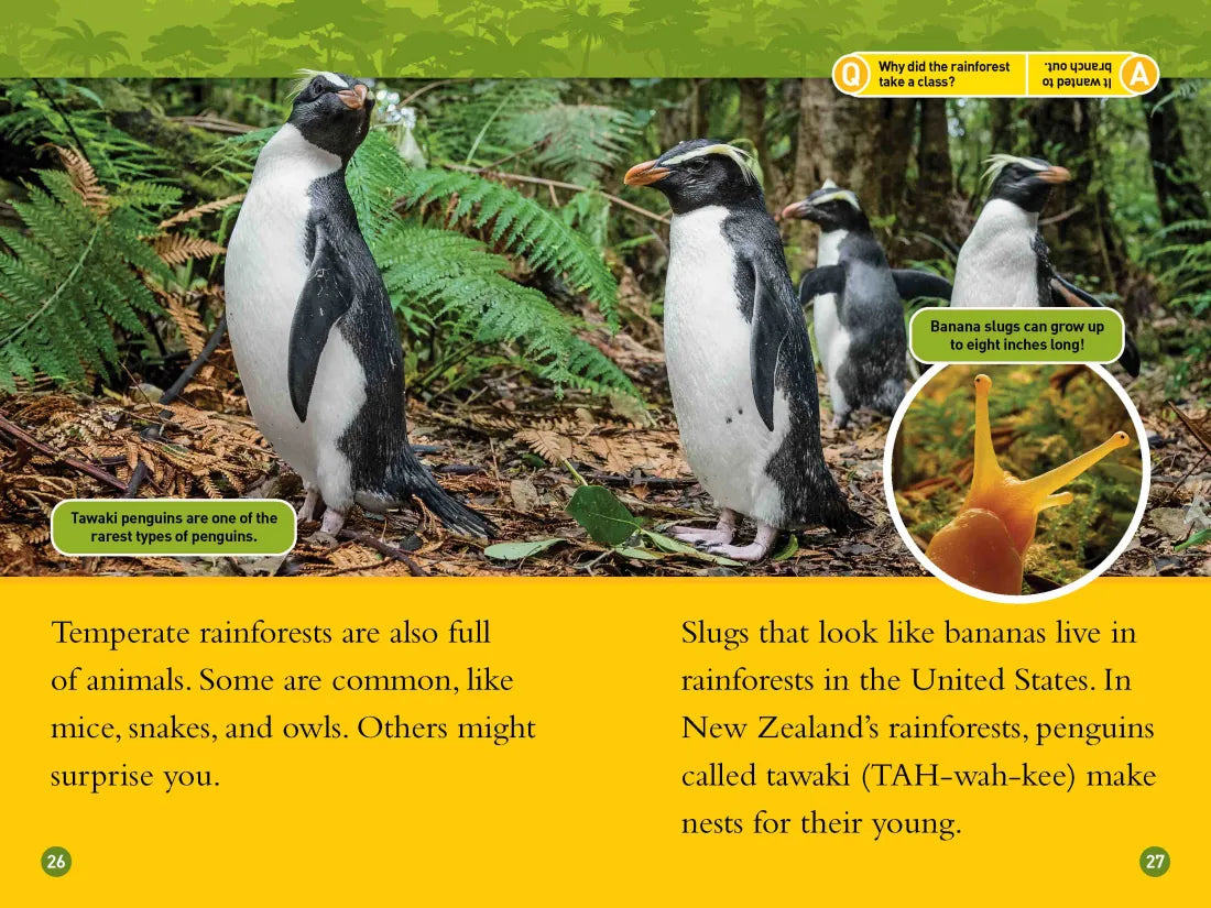Rainforests (National Geographic Kids Readers, Level 2) US - Hardback