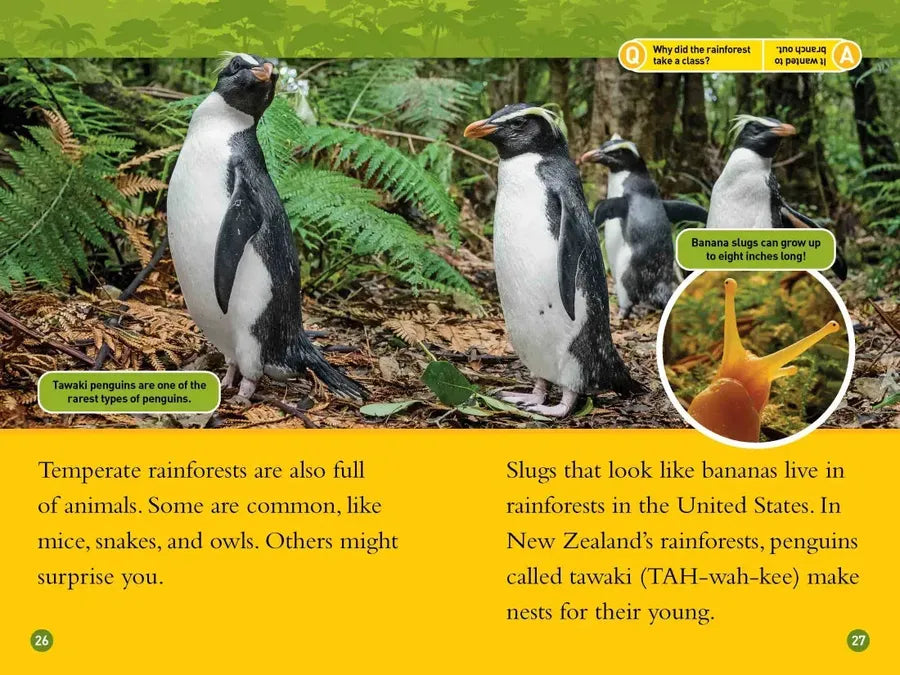 Rainforests (National Geographic Kids Readers, Level 2) US - Paperback / softback